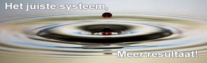Expert systeemselectie ERP